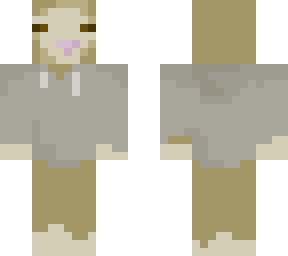 sheep with sweatshirt