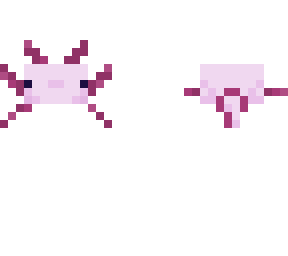 axlotl