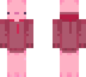 axolotl in a red hoodie