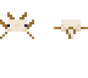 axolotl orange