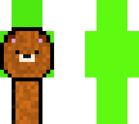 bear dream