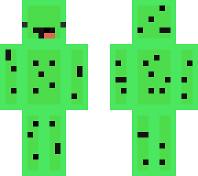 cactus skeppy