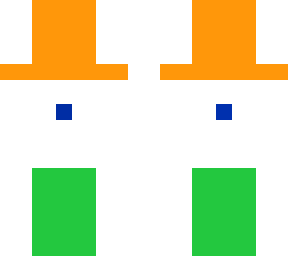 indian flag skin