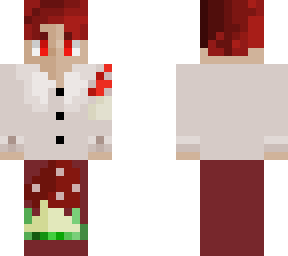 mr.mushroom