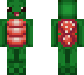 mushroom turtle