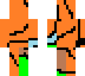skin