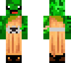 buda turtle