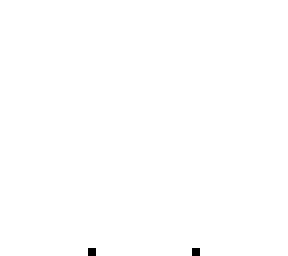 invizible
