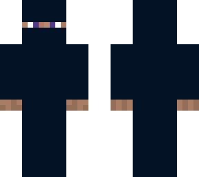 ninja steve