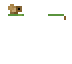 snaile head