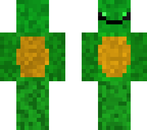 the snz clan turtle