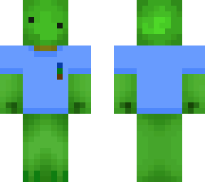 turtle with a shirt