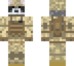 army racoon