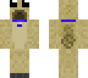 boy  pug