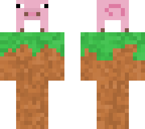 grassy field pig