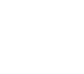 ignore