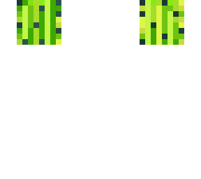 cactus com fro