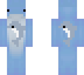 dolphin dude