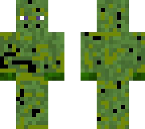 commo steve