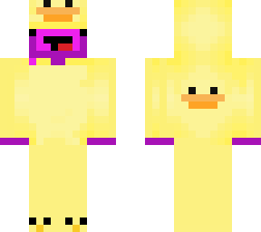 duck thing