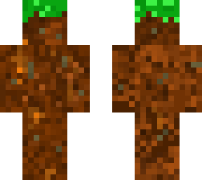grass block skin