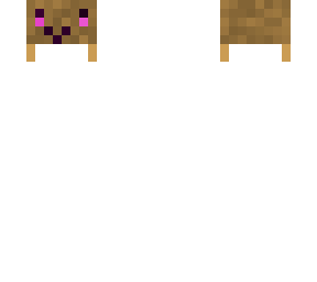 hedgehog skin