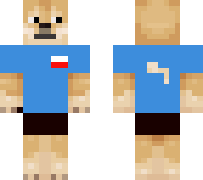 polish summer doge