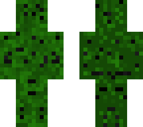 watermelon skin