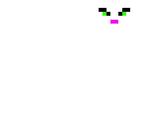 white cat in snow