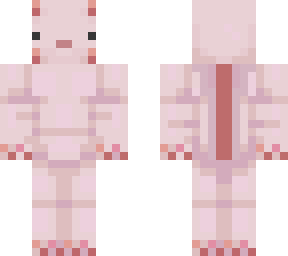 axolotl