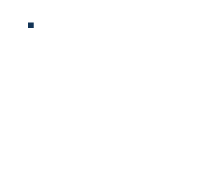 blank