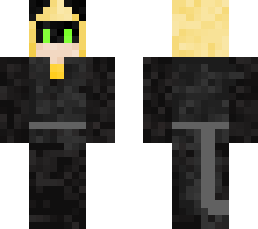 chat noir skin