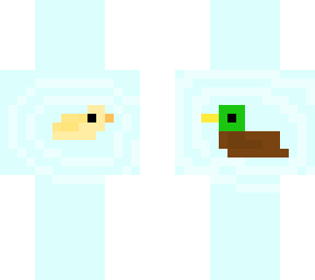 ducks <3