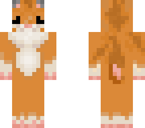 golden hamster