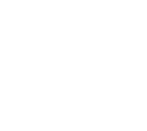inviz