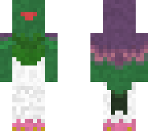 kereru/new zealand pigeon