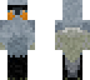 south island kokako