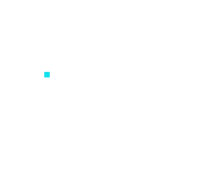 blank