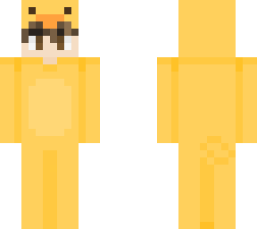 duck costume