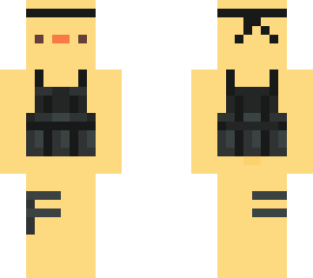 duck in armor vest