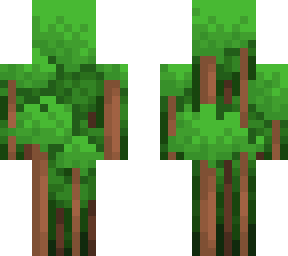 forest - rq
