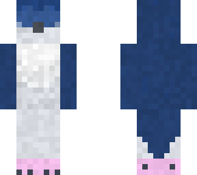 little blue penguin/korora