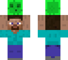 steveholdingslime