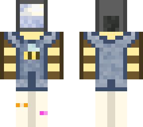 bee tv head