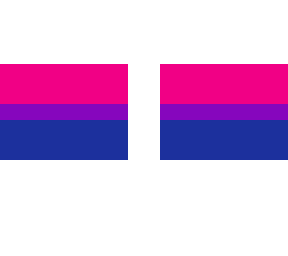 bi***ual pride