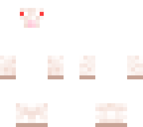 sheeple (albino)