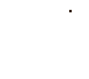 skin template