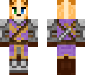 corgi knight