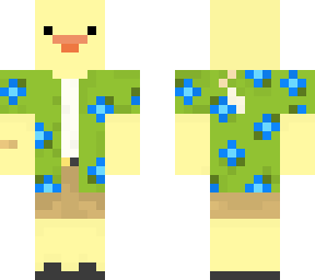 hawaiian duck