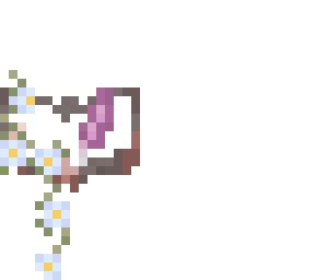 n e w  b o o k